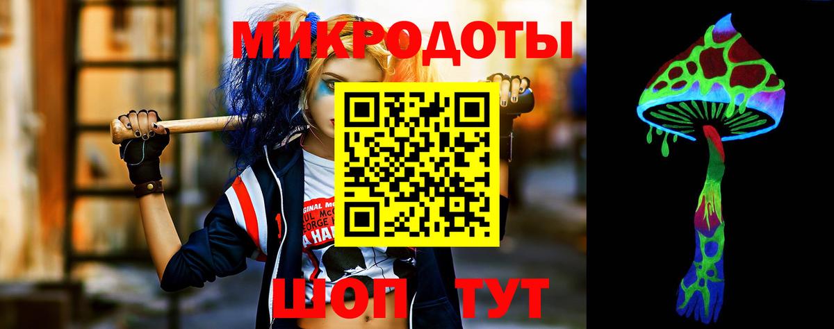 Псилоцибиновые грибы Psilocybe  Вход с VPN  Апатиты 